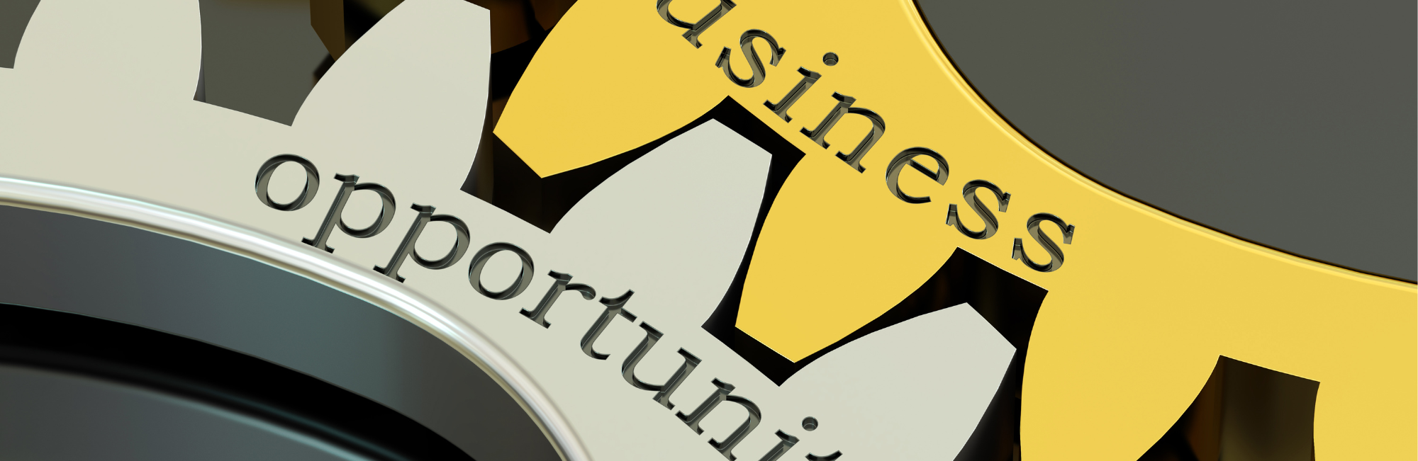 Inversionistas extranjeros, ¿están aprovechando al máximo las oportunidades de negocio que ofrece Estados Unidos?